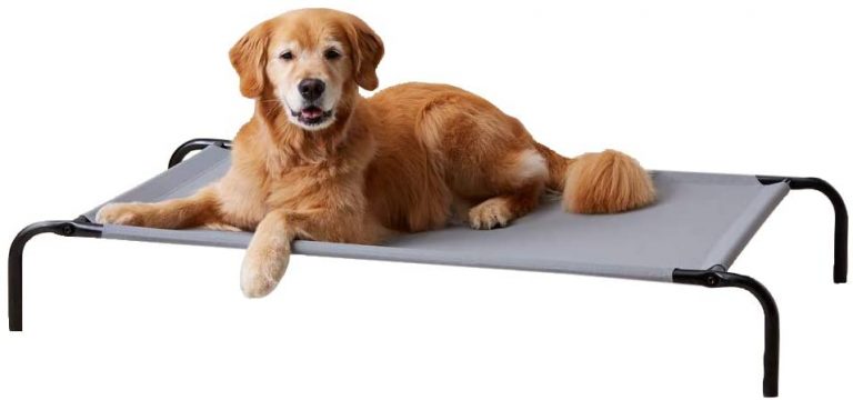 Cama elevada transpirable para mascotas, grande ( 130 x 80 x 19 cm)